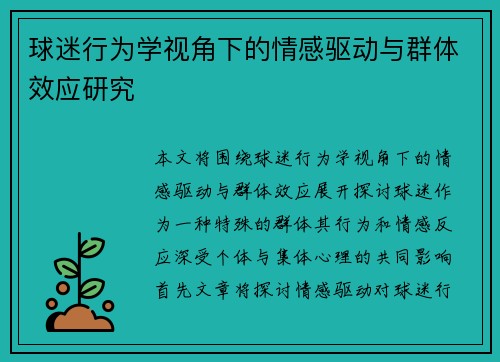 球迷行为学视角下的情感驱动与群体效应研究